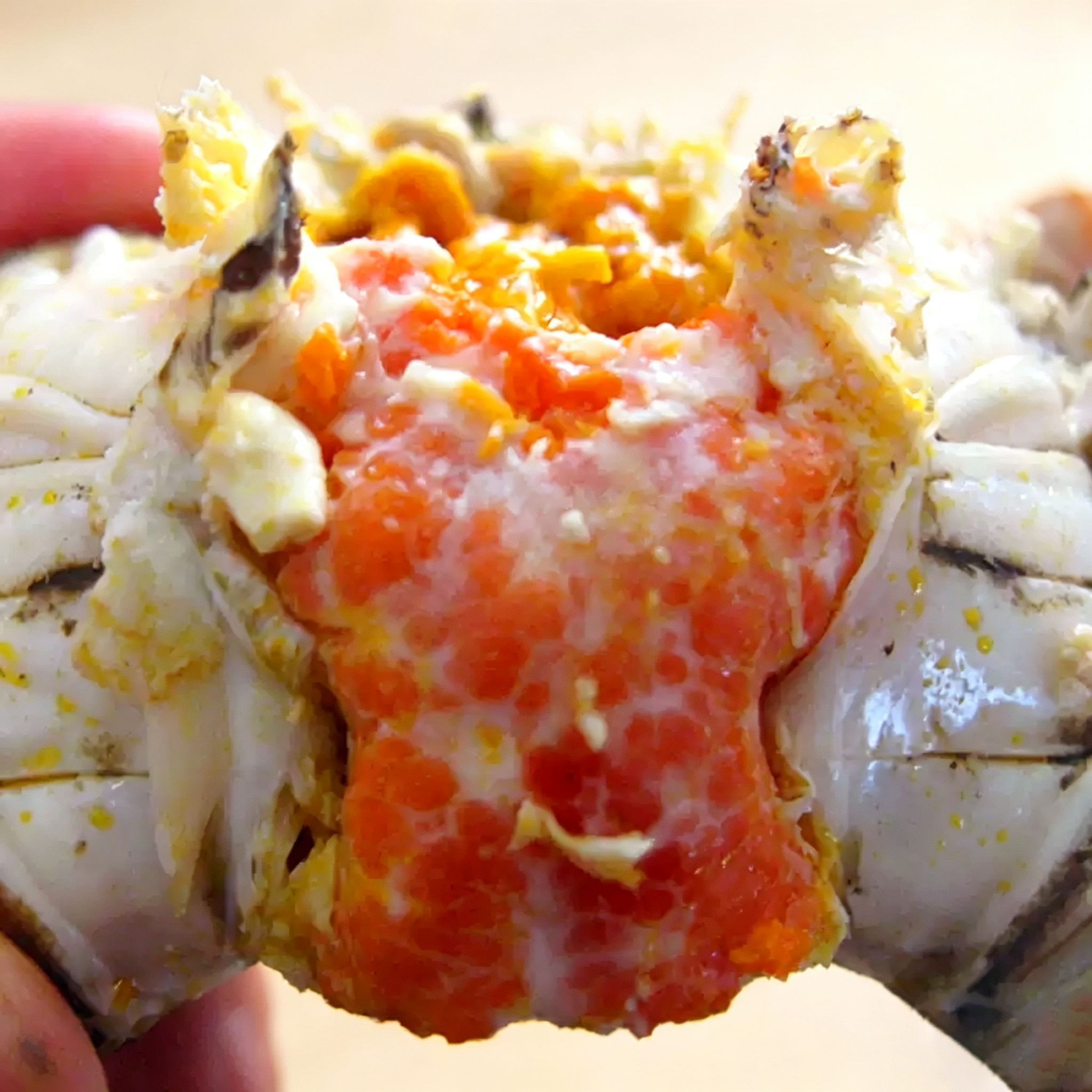 Frozen Cooked Female Chinese Mitten Crab