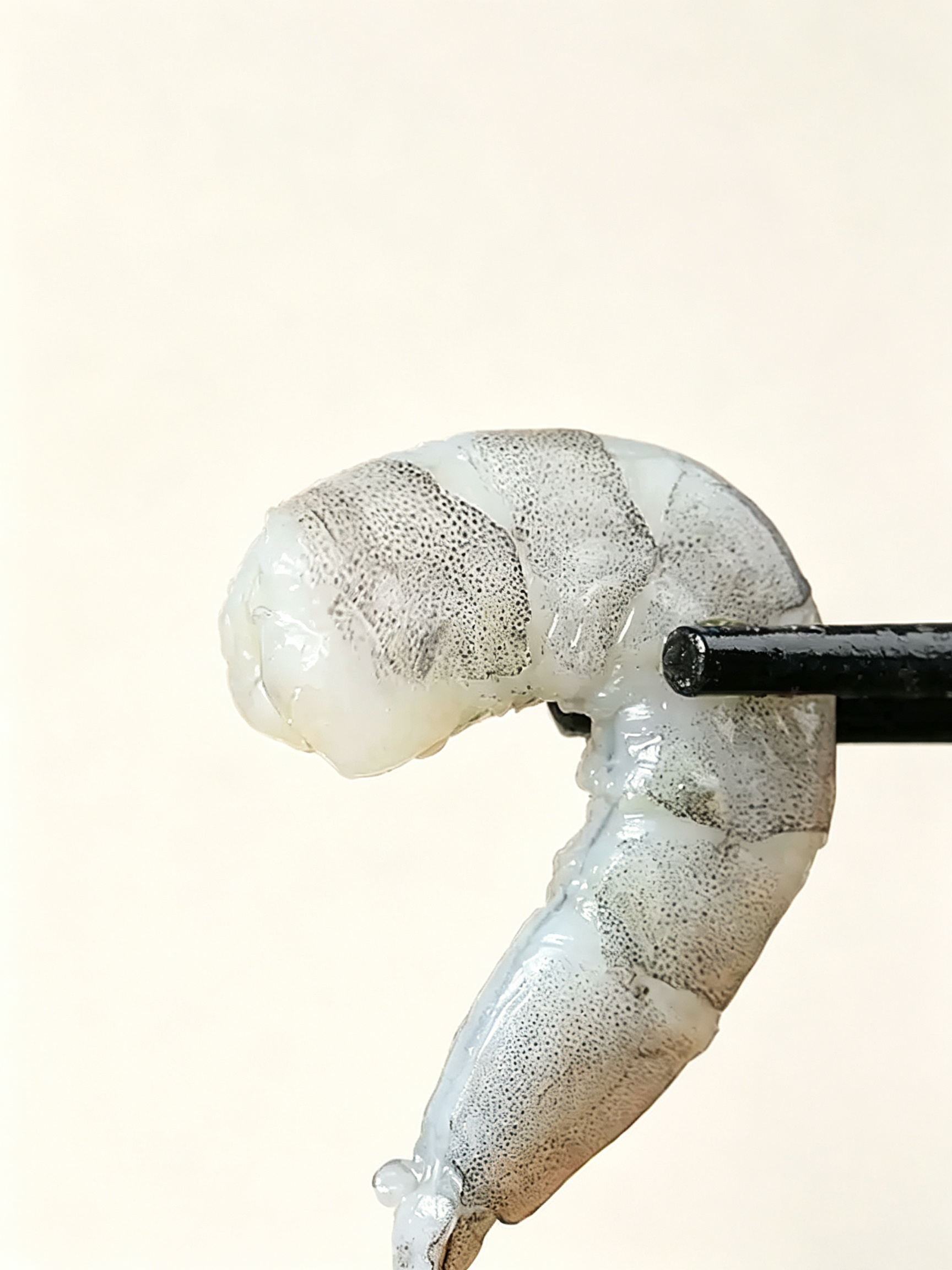 Frozen Raw Peeled Shrimp Meat